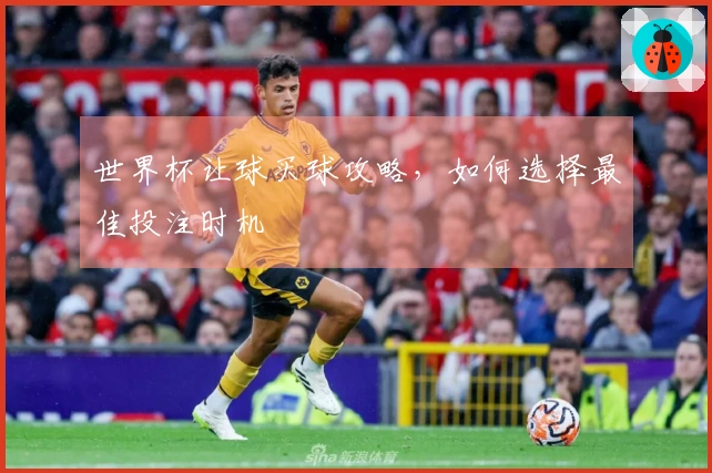 世界杯让球买球攻略，如何选择最佳投注时机