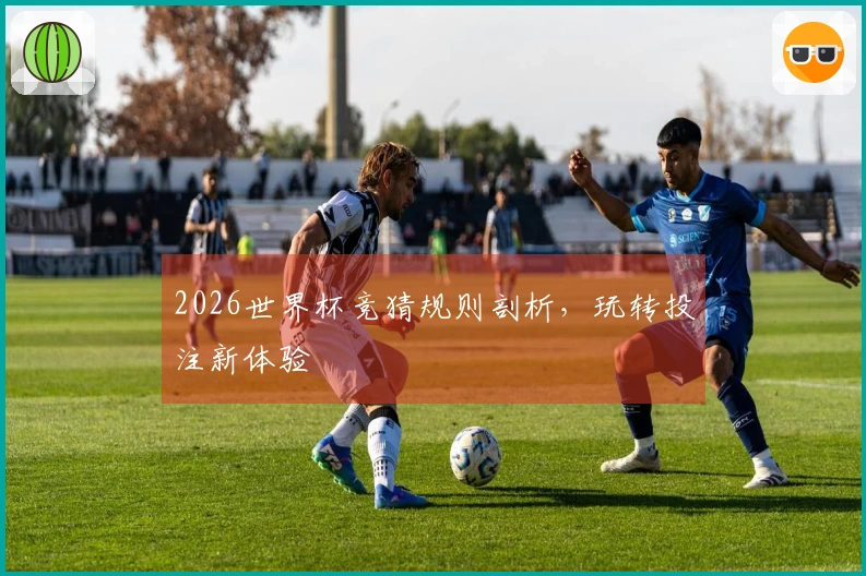 2026世界杯竞猜规则剖析，玩转投注新体验