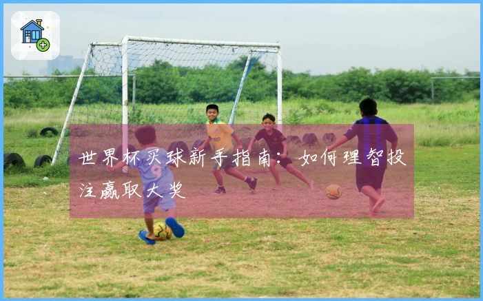 世界杯买球新手指南：如何理智投注赢取大奖
