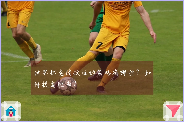世界杯竞猜投注的策略有哪些？如何提高胜率？