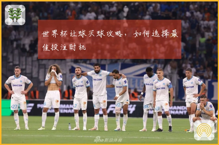世界杯让球买球攻略，如何选择最佳投注时机