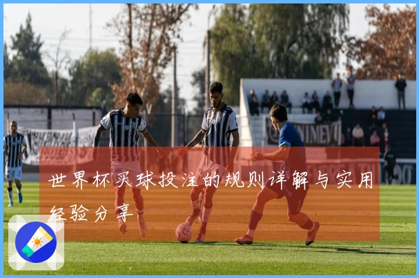 世界杯买球投注的规则详解与实用经验分享